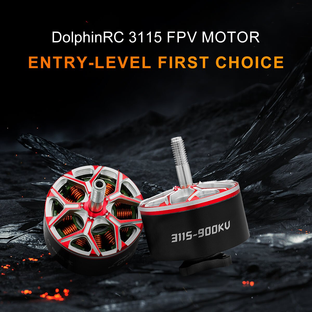 DolphinRC 3115 900KV Motor