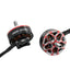 DolphinRC 2808 1300KV Motor