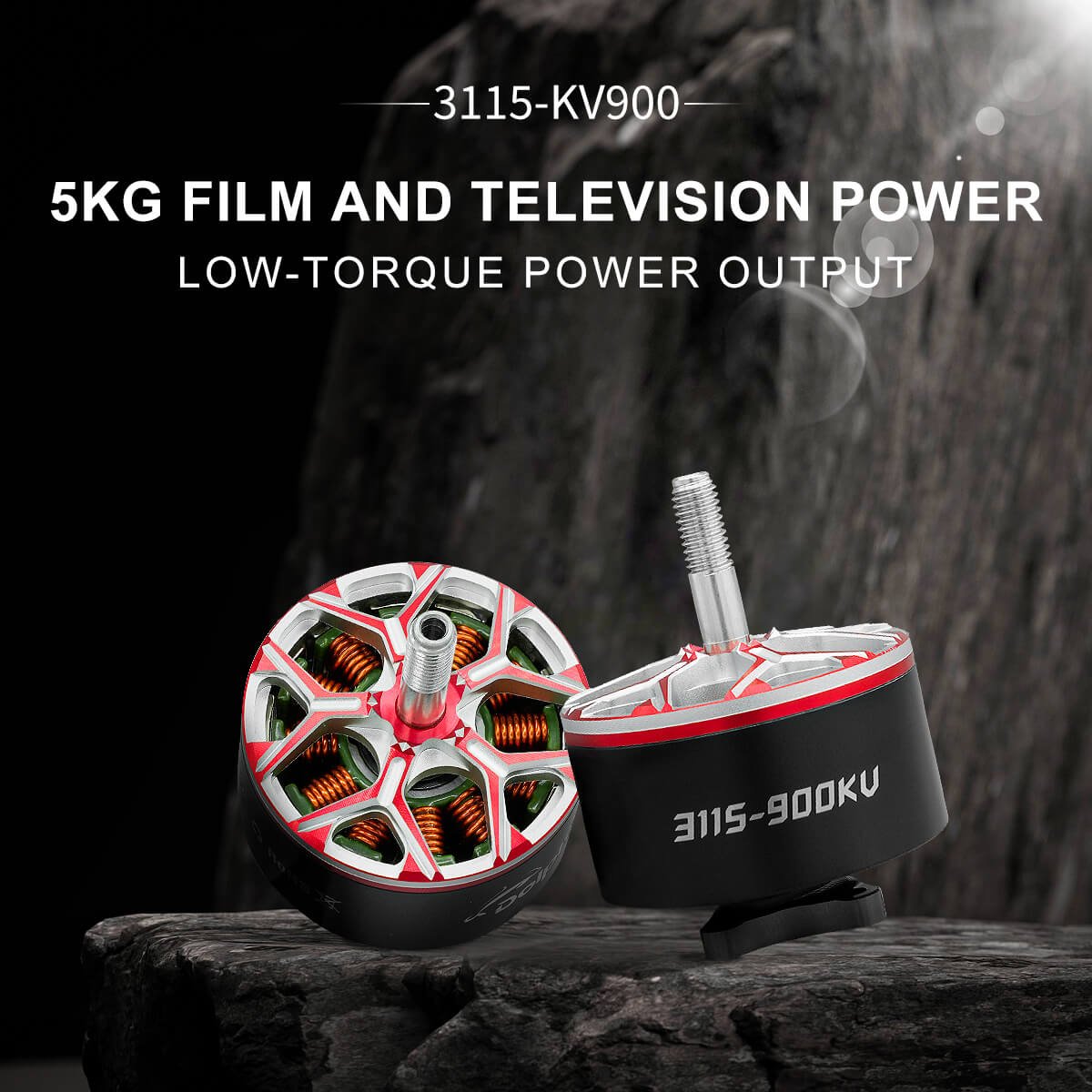 DolphinRC 3115 900KV Motor