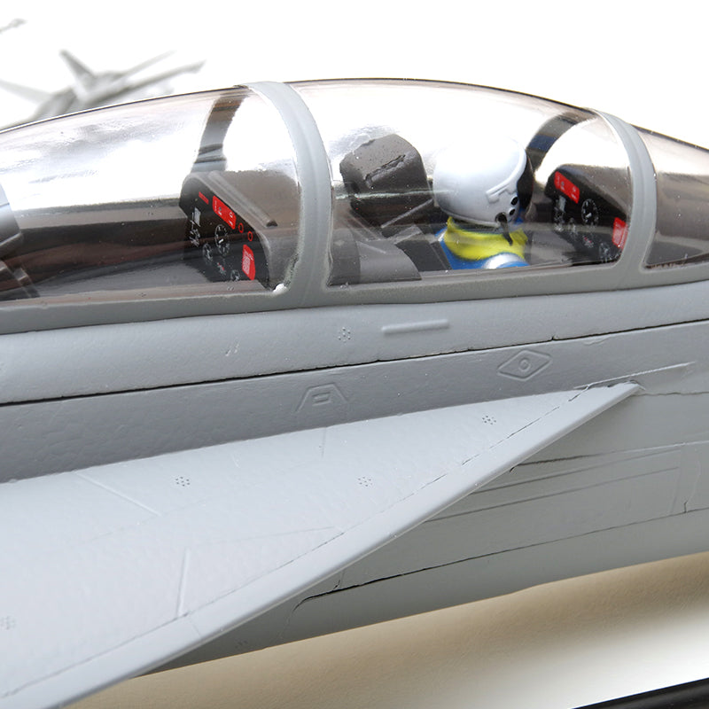 FMS EDF Jet 70mm F-18F V2 PNP